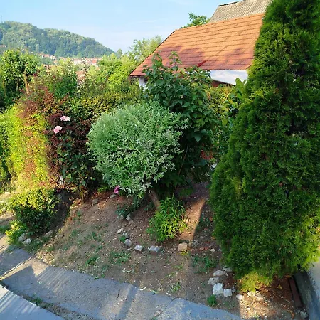 Apartment Deni Tuzla