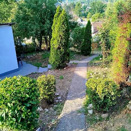 Deni * Tuzla
